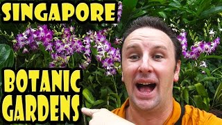 Singapore Botanic Gardens Travel Guide [upl. by Can]