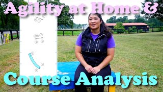 3 Obstacle Dog Agility Course  Puppy Agility at Home amp Course Map Analysis [upl. by Atthia]