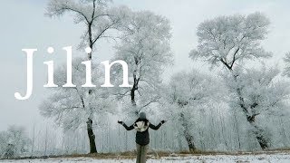 9 REASONS TO VISIT JILIN  China Road Trip  Jilin Travel Guide [upl. by Lydnek1]