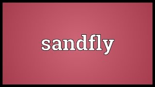 Sandfly Meaning [upl. by Garling]