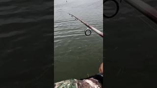 Probably the BIGGEST FISH OF MY LIFE fishing seabreeze rochesterny [upl. by Aehtla]