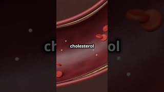 UNDERSTANDING CHOLESTEROL HDL vs LDL3D ANIMATION shorts [upl. by Ynatirb]