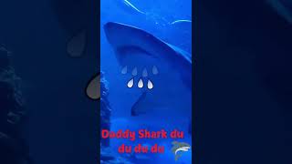 nikiandkymishow shorts shortvideo seacreatures animals educationalvideos kidsactivities [upl. by Adnil987]