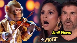 First Monkey to Play an INSTRUMENT on AGT Emotional Audition  Everyone Tears agtmagic viralvideo [upl. by Mazel]