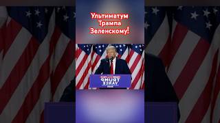 Трамп дал Зеленскому 24 часа трамп зеленский озвучка новости сво [upl. by Nerita]