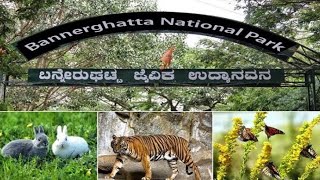 Bannerghatta National Park 🏞️ Wildlife Nature Karnataka India [upl. by Rap775]