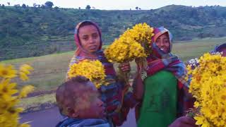 Ethiopian new year 2017 best amharic instrument እንቁጣጣሽ amharic bahil amharicmusic [upl. by Ramsdell]