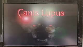 Canis Lupus Entertainment Logo 2000 [upl. by Jorgan]