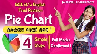 Pie Chart Description  Easy Way  Full Marks Confirmed  GCE OL English  Test 14 [upl. by Nyrehtak]