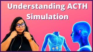 ACTH Stimulation Test Explained  Procedure Results and Risks Explained [upl. by Erdrich498]