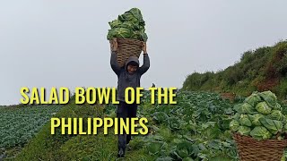 Salad Bowl of The Philippines Benguet Farmers Life [upl. by Marcie]