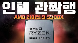 괴물이다 괴물 RYZEN 5900X 작업성능 벤치마크 AMD vs Intel [upl. by Trilbi]