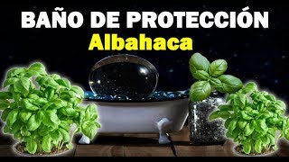 Baño De Albahaca Para La Protección MUY EFECTIVA [upl. by Acihsay]