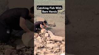 Catching fish with bare hands fishinglife fishtank fisherman fishvideo river aquarium catfish [upl. by Eisor]