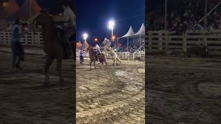 rodeio jinete cultura cavalos [upl. by Egnalos913]