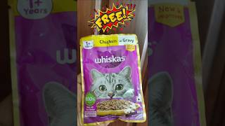 Free WHISKAS Cat Food 🐈 Whiskas Chicken in Gravy Wet food Review [upl. by Elizabet685]