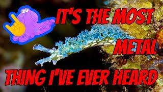 These Sea Slugs EAT SUNLIGHT and RIP THEIR OWN HEADS OFF 🤘🔥🤘  Alien Ocean [upl. by Cho]