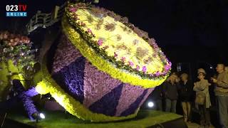 Verlicht Bloemencorso 2018 [upl. by Noteek]