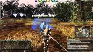 Darkfall Rise Of Agon Alpha PvP 1 [upl. by Anitel286]