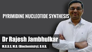 Pyrimidine nucleotide synthesis and degradation [upl. by Desai]