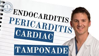 PANCE Review Endocarditis Pericarditis amp Cardiac Tamponade – Key Facts You Need to Know [upl. by Chandless242]