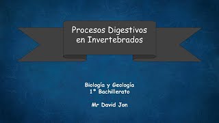 Procesos Digestivos en Invertebrados I [upl. by Elyad592]