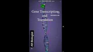 PROTEIN SYNTHESISDemonstrationExplanationUrduEnglish [upl. by Adeys58]