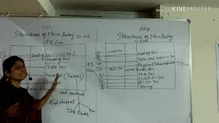 Class  2  Structure of Main Entry CCC and AACR 2  Teaching by Reena Anand  Anil Gehlot [upl. by Nelly]