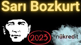 Ozan Ünsal  Sarı Bozkurt [upl. by Nyer]