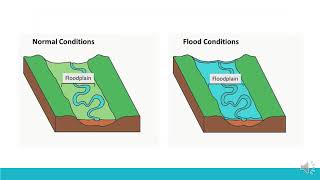 Why do urban watersheds flood [upl. by Ainehs165]