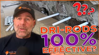 Are DriRods 100 Effective  Damp Sam Reacts [upl. by Darryn]