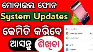 System Update କେମିତି କରିବେ ଜାଣନ୍ତୁ  How to udate system app [upl. by Gilpin]