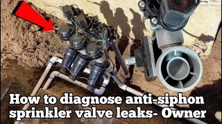 How to Diagnose an Antisiphon Sprinkler Valve Leak Easy You Must Know [upl. by Ydisahc535]