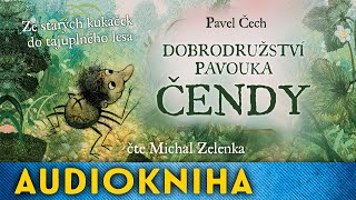 Pavel Čech  Dobrodružství pavouka Čendy [upl. by Piero]