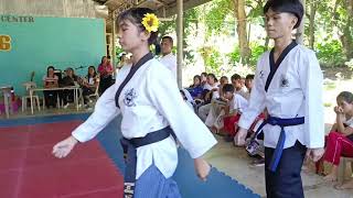 KATA of TAEKWONDO Complete Video 55 Municipal Meet 2024 of Mobo Masbate [upl. by Suertemed387]