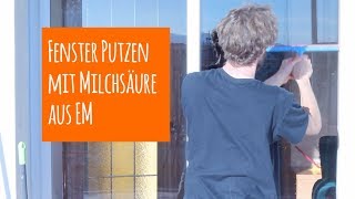 Fenster putzen mit Effektive Mikroorganismen EM oder Sauerkrautsaft [upl. by Ayahsey]