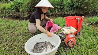 Top video Harvesting fish traditional fish traps and using water pumps to catch fish [upl. by Yerffe]