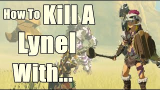 I Prefer to Parry How to Kill A Lynel in Zelda Breath of The Wild [upl. by Ahsienat]