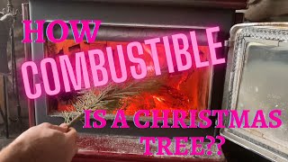 How Flammable Are Christmas Trees [upl. by Nemzaj]