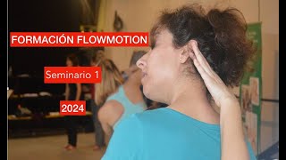 Formación flowmotion Seminario 1 [upl. by Calley]