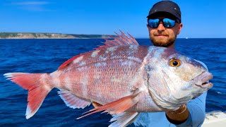 Charter Fishing UK  Fishing with Bite Adventures in Penzance  The Fish Locker [upl. by Cynthea]