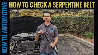 How To Check Your Cars Serpentine Belt For Wear  An Easy Step By Step Tutorial [upl. by Wernsman]