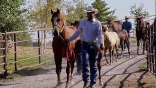 Montana Horse Ranch  Americas Heartland [upl. by Bashuk212]