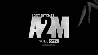 A2M  I Got Bitches Will Otta Remix [upl. by Aisyat]