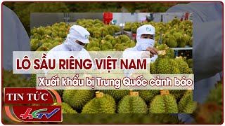 Lô sầu riêng Việt Nam xuất khẩu bị Trung Quốc cảnh báo  Truyền hình Hậu Giang [upl. by Ahsinaj]