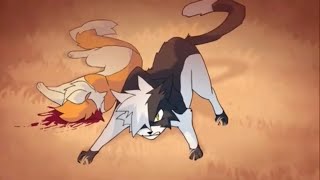 Swiftpaw AMV In the end [upl. by Anerres]