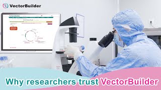 Why Researchers Trust VectorBuilder [upl. by Osmund]