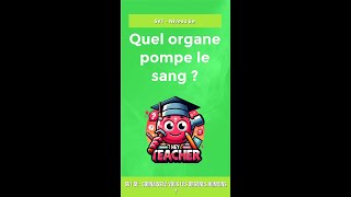 SVT 6e  Connaissezvous les organes humains [upl. by Coffeng]