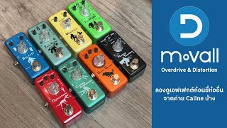 ก้อน OverdriveDistortion Movall 8 รุ่น [upl. by Cacilie928]