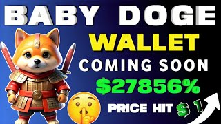 1 BABY DOGE WALLET  Baby dogecoin news today hindi  Baby doge price prediction [upl. by Lekym]